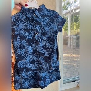 Stitch & Stone Blue Pineapple Print Button-Up Shirt/Shorts Set